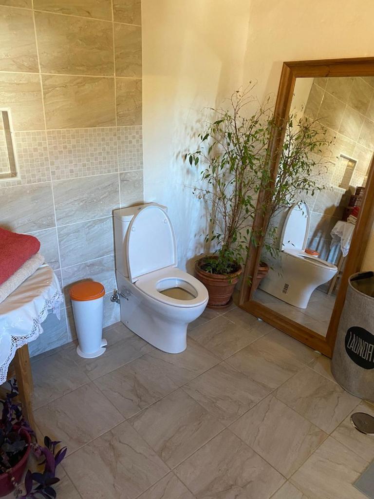 Yoga Farm ξενώνας Ταβίρα Εξωτερικό φωτογραφία